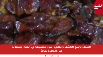 العجوة بالبلح الناشف والطري: أسرار تحضيرها في المنزل بسهولة مثل الجاهزة تماماً